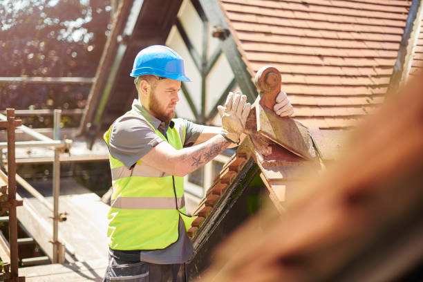 Best Roof Maintenance Services  in Svis, IL