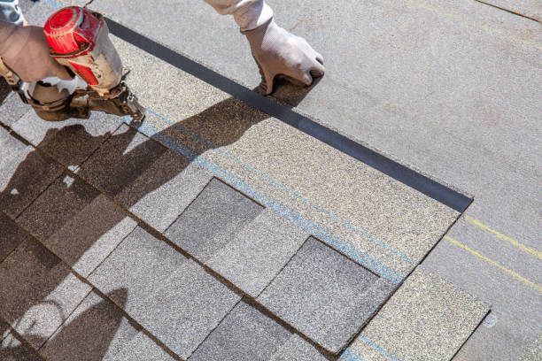 Best Residential Roofing Contractor  in Svis, IL